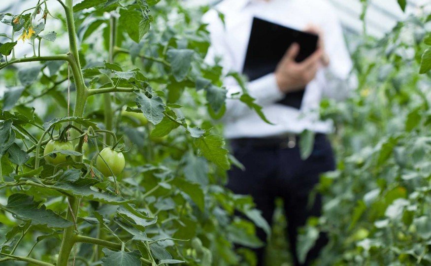 Asesoramiento y consultoría para el registro de productos de establecimientos vinculados ante el MAPA